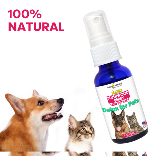 Blushwood berry Seed extract for Dogs and Cats Detox